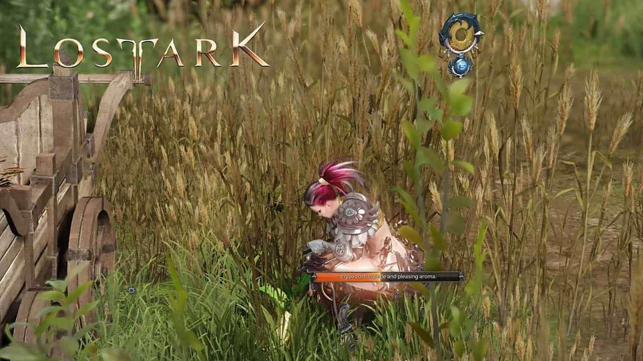 Lost Ark Mokoko Seeds Konumları ve Ödülleri
