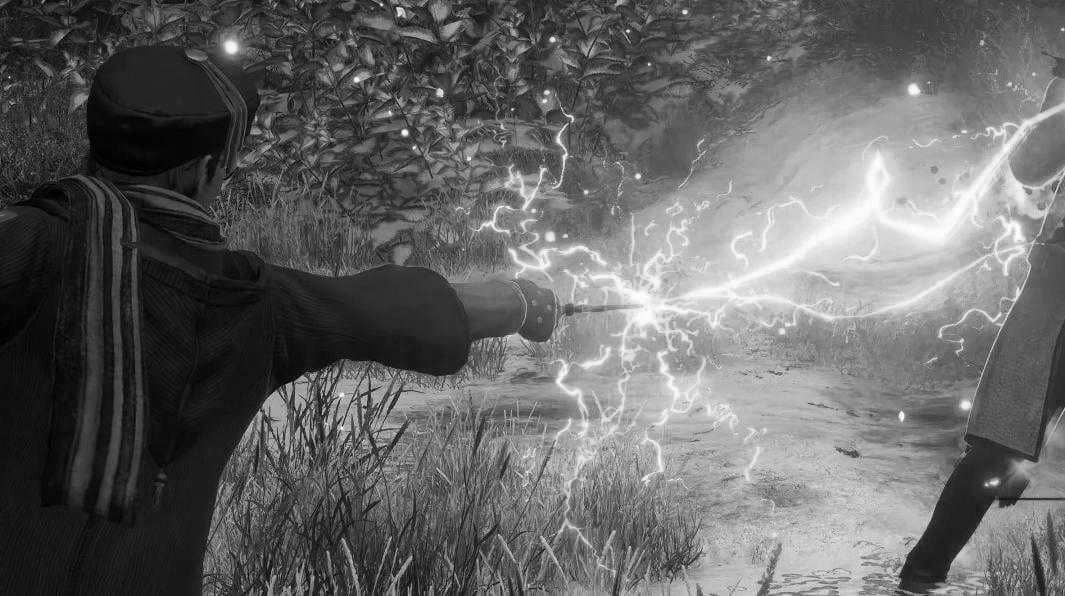 Hogwarts Legacy Bulmaca Türleri ve Çözümleri