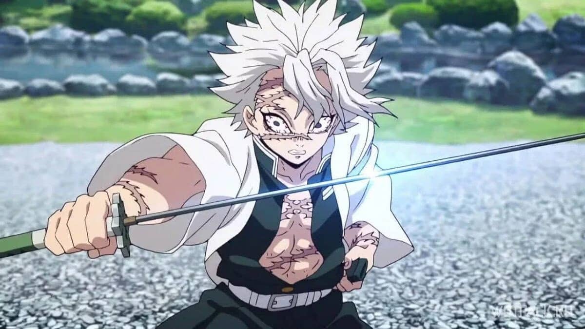 Demon Slayer Sanemi Shinazugawa
